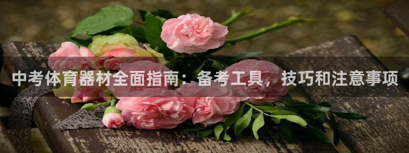 极悦娱乐登录拒绝访问怎么办理：中考体育器材全面指南：
