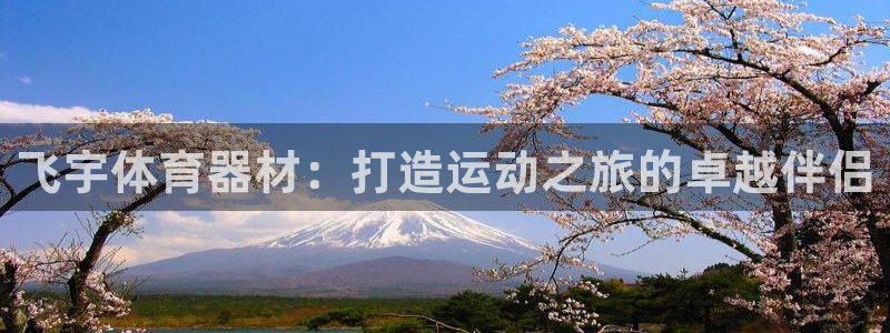 极悦官网首页：飞宇体育器材：打造运动之旅的卓越伴侣