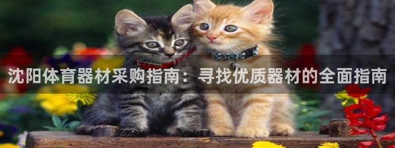 极悦娱乐创始人背景故事介绍：沈阳体育器材采购指南：寻