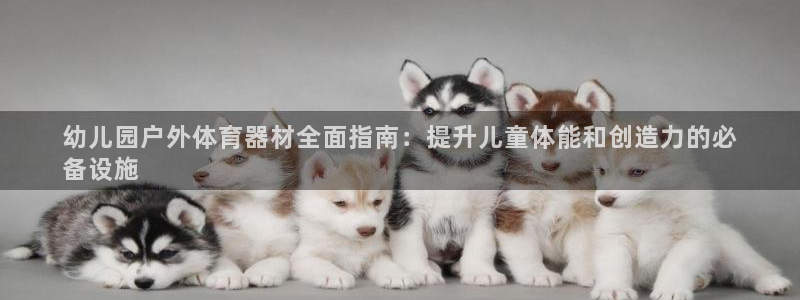极悦平台股东：幼儿园户外体育器材全面指南：提升儿童体