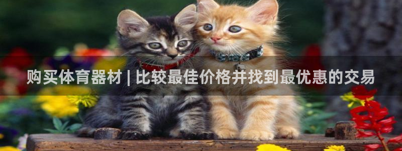 极悦平台好7.0.2.4怎么样：购买体育器材 | 比