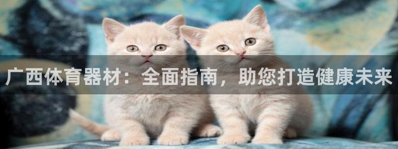 极悦平台官网登录网址是多少：广西体育器材：全面指南，