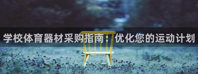 极悦娱乐的内部员工福利：学校体育器材采购指南：优化您