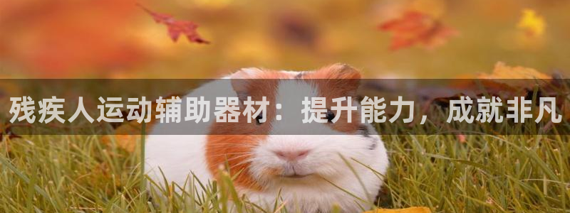 极悦平台注册登录不了：残疾人运动辅助器材：提升能力，