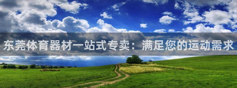 极悦平台客服团队怎么样：东莞体育器材一站式专卖：满足