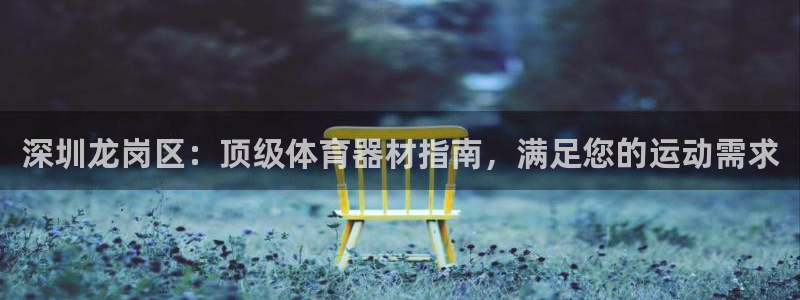 极悦娱乐下载安装手机版：深圳龙岗区：顶级体育器材指南
