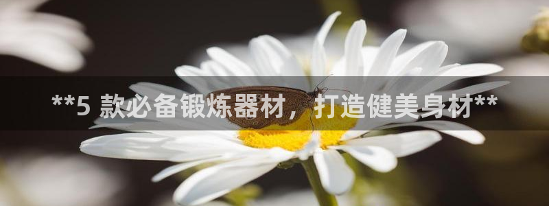 极悦平台注册用户名验证码是什么：**5 款必备锻炼器