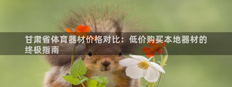 极悦平台注册用户名格式：甘肃省体育器材价格对比：低价