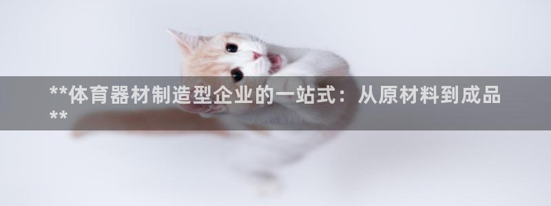 极悦平台官网登录入口：**体育器材制造型企业的一站式