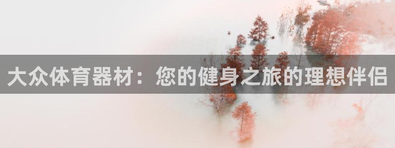 极悦生活家是什么平台：大众体育器材：您的健身之旅的理