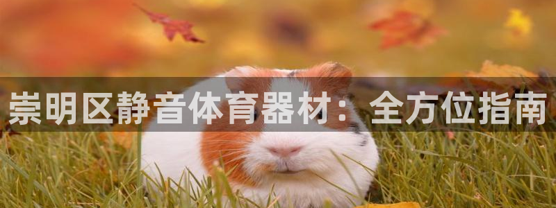 极悦平台用户评价与反馈怎么设置：崇明区静音体育器材：