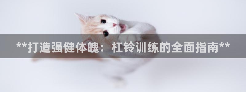 极悦平台注册登录入口在哪：**打造强健体魄：杠铃训练