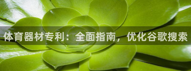 极悦娱乐官网客服联系方式是什么：体育器材专利：全面指