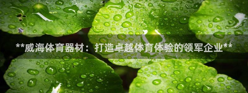 极悦娱乐部7O777：**威海体育器材：打造卓越体育