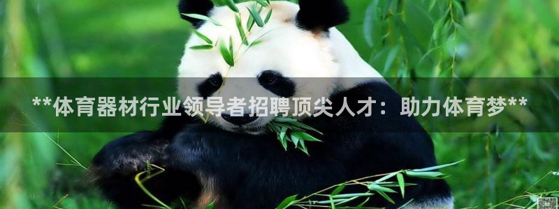 极悦平台官网登录入口网址查询：**体育器材行业领导者