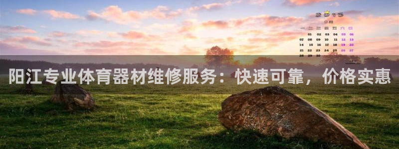 极悦官网首页登录入口：阳江专业体育器材维修服务：快速