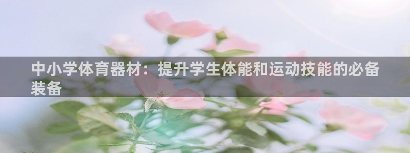 极悦平台注册用户名验证不了：中小学体育器材：提升学生
