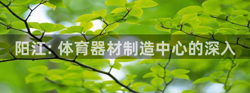极悦平台客服团队介绍：阳江: 体育器材制造中心的深入
