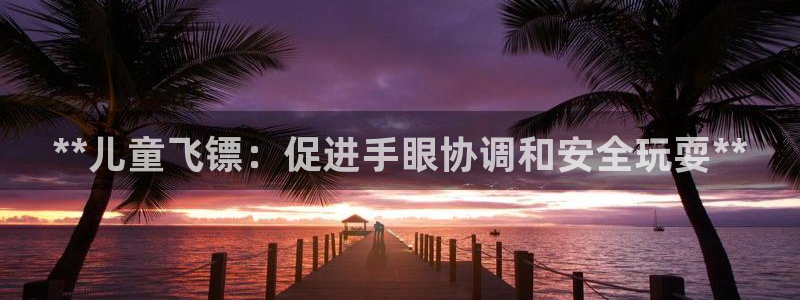 极悦娱乐的创始人背景故事介绍：**儿童飞镖：促进手眼