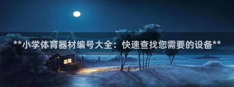 极悦平台下载安装：**小学体育器材编号大全：快速查找