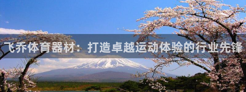 极悦平台注册流程详解：飞乔体育器材：打造卓越运动体验