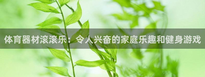极悦平台用户评价在哪里看：体育器材滚滚乐：令人兴奋的