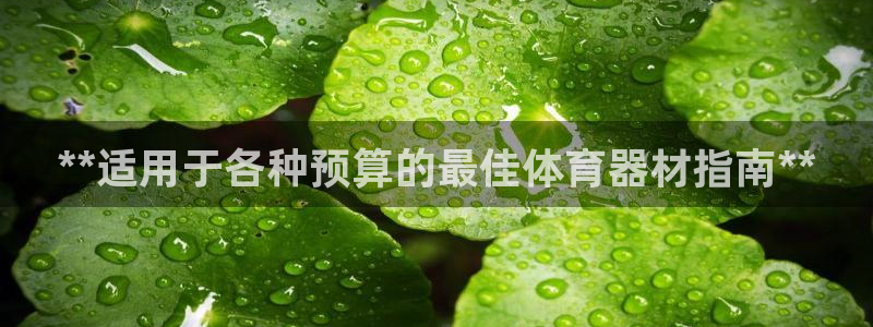 极悦平台app二维码怎么弄：**适用于各种预算的最佳