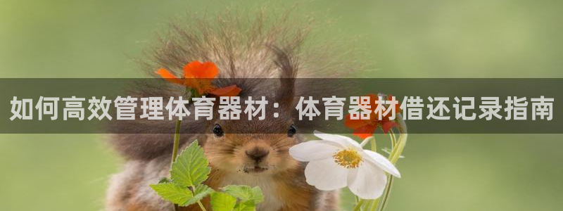 极悦平台注册官方网站下载：如何高效管理体育器材：体育
