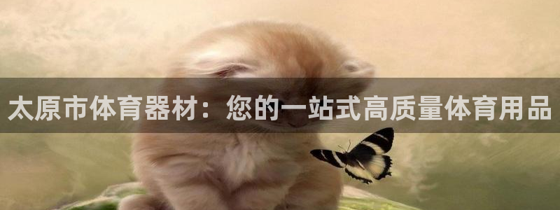 极悦平台的注册流程及注意事项：太原市体育器材：您的一