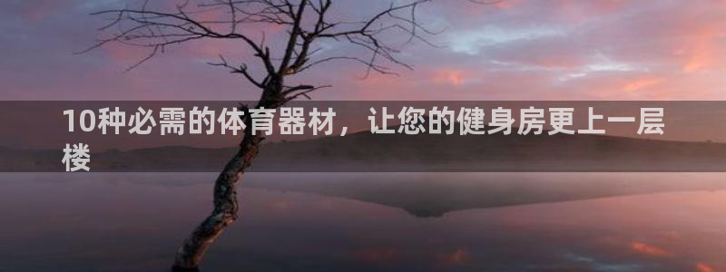 极悦平台代理怎么做的：10种必需的体育器材，让您的健