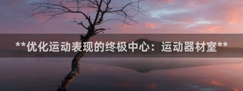 极悦平台股东是谁：**优化运动表现的终极中心：运动器