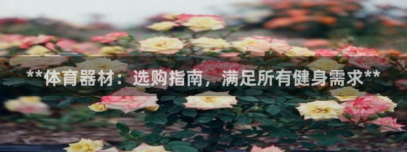 极悦娱乐股东有哪些：**体育器材：选购指南，满足所有