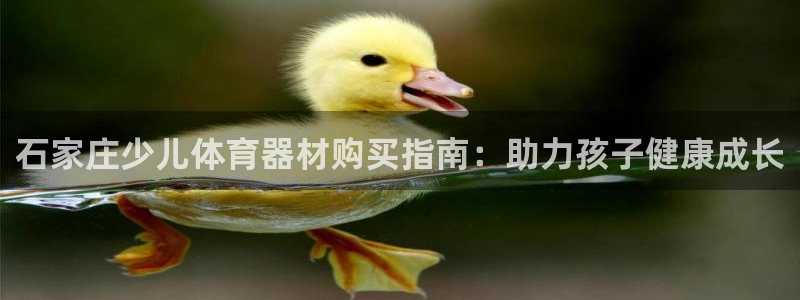 极悦平台是干什么的啊：石家庄少儿体育器材购买指南：助