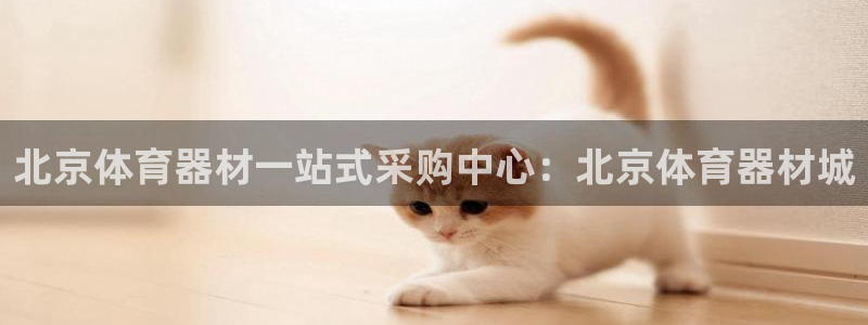 极悦平台代理怎么做：北京体育器材一站式采购中心：北京