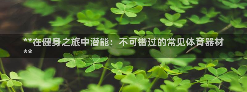 极悦平台登录最新版本更新内容是什么：**在健身之旅中
