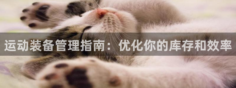 极悦生活家是什么平台的产品：运动装备管理指南：优化你