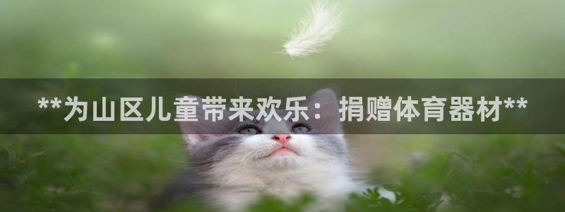 极悦官网首页：**为山区儿童带来欢乐：捐赠体育器材*