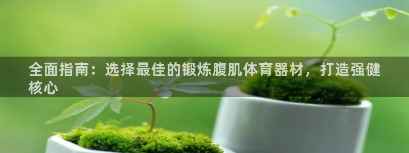 极悦益生菌猫粮怎么样：全面指南：选择最佳的锻炼腹肌体