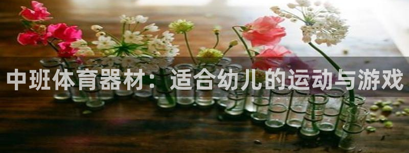 极悦娱乐游戏安全吗：中班体育器材：适合幼儿的运动与游
