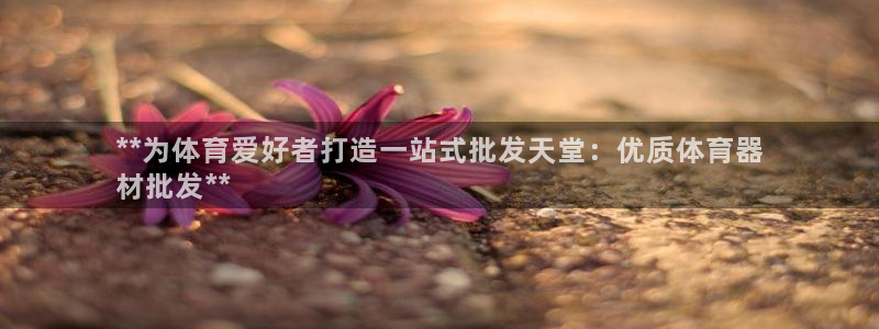 极悦平台官网入口网址：**为体育爱好者打造一站式批发