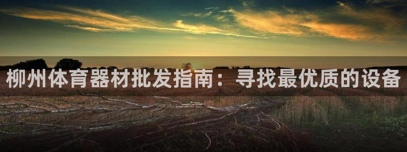 极悦娱乐现在叫什么：柳州体育器材批发指南：寻找最优质