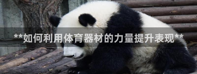 极悦平台官网登录网址查询：**如何利用体育器材的力量