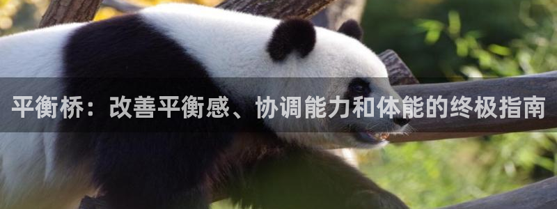 极悦平台注册和登录页面在哪：平衡桥：改善平衡感、协调