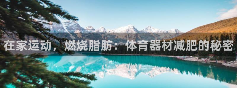 极悦平台注册和登录页面在哪：在家运动，燃烧脂肪：体育
