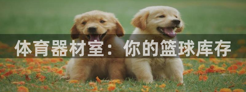 极悦平台登录不进去怎么回事儿：体育器材室：你的篮球库