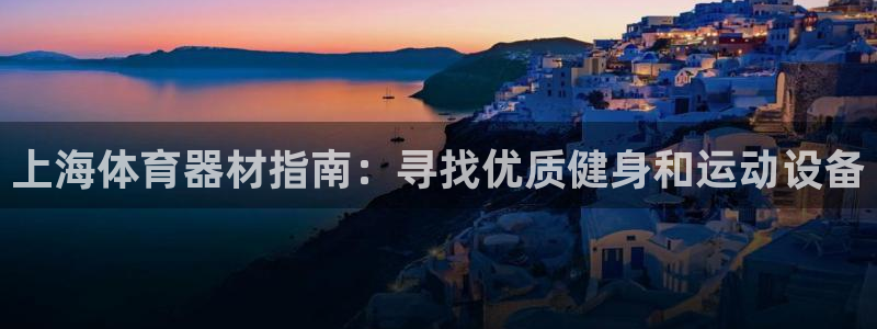 极悦娱乐现在叫什么：上海体育器材指南：寻找优质健身和