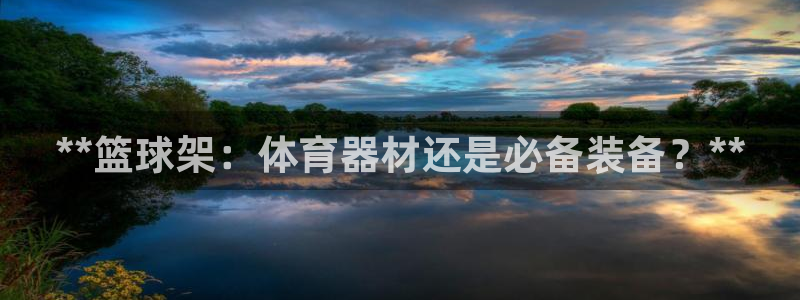 极悦娱乐app官方版本更新内容下载：**篮球架：体育
