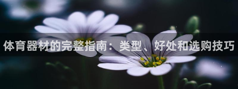 极悦平台客服投诉电话是多少啊：体育器材的完整指南：类