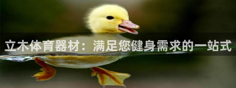 极悦娱乐负责人是谁：立木体育器材：满足您健身需求的一