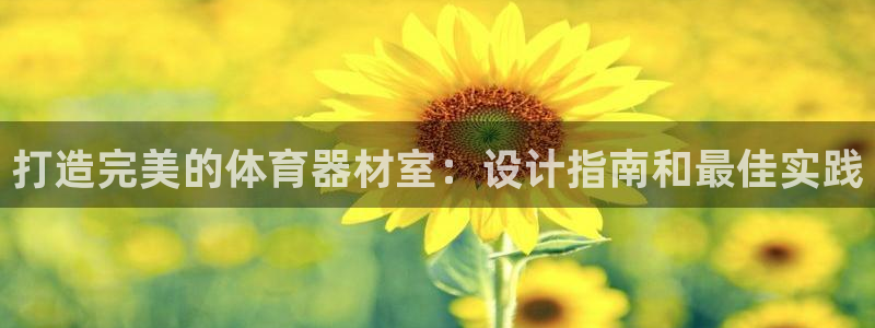 极悦平台代理怎么做：打造完美的体育器材室：设计指南和